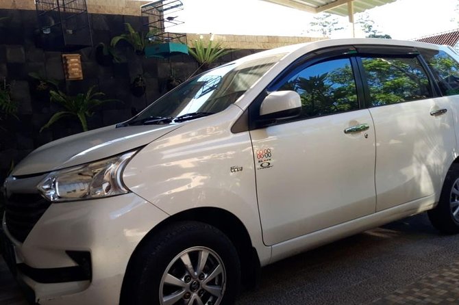 Individual Bali Day Trip with Private Driver and Free WiFi - East and North Bali Options: Temples, Lakes, Gates, Swings, and Old Water Palaces