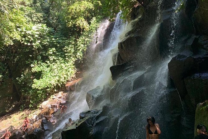 Individual Bali Day Trip with Private Driver and Free WiFi - Real Driver Value: Flexibility and Friendly Local Help