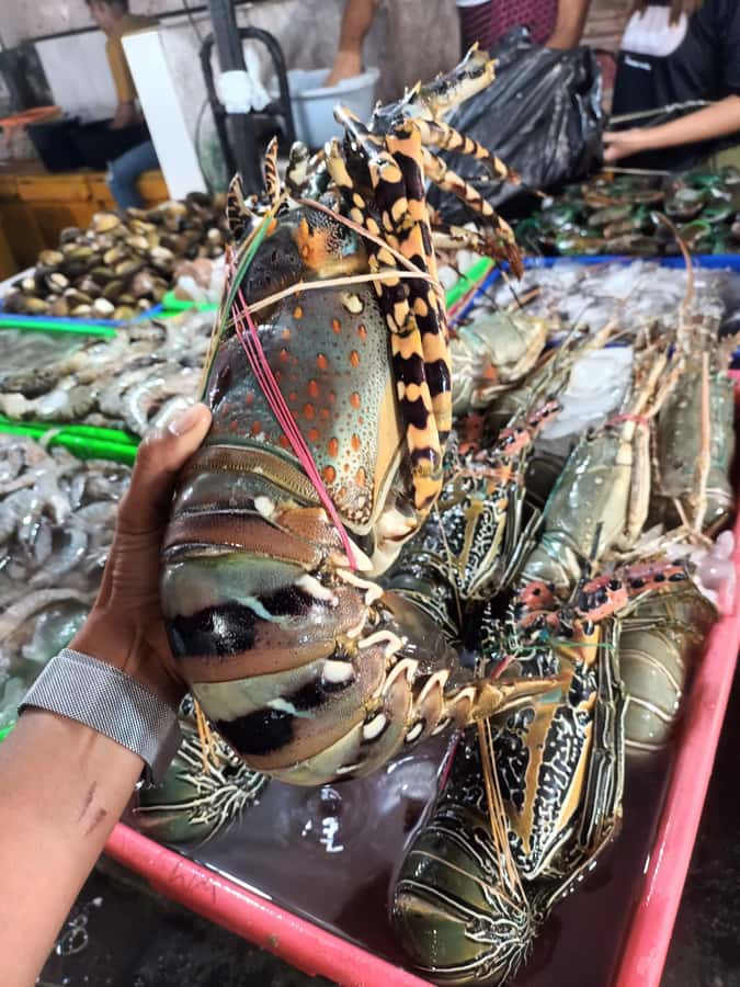 Jimbaran: Exotic Culinary Fish and Seafood Tour - Who should book this Jimbaran seafood tour