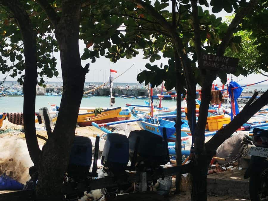 Jimbaran: Exotic Culinary Fish and Seafood Tour - From fish market to cooked meal: why 3 hours is the sweet spot