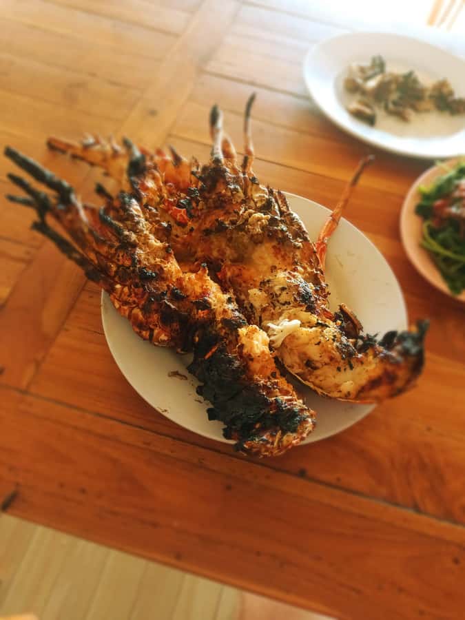 Jimbaran: Exotic Culinary Fish and Seafood Tour - Octopus, parrot fish, and other seafood choices you might not order at home