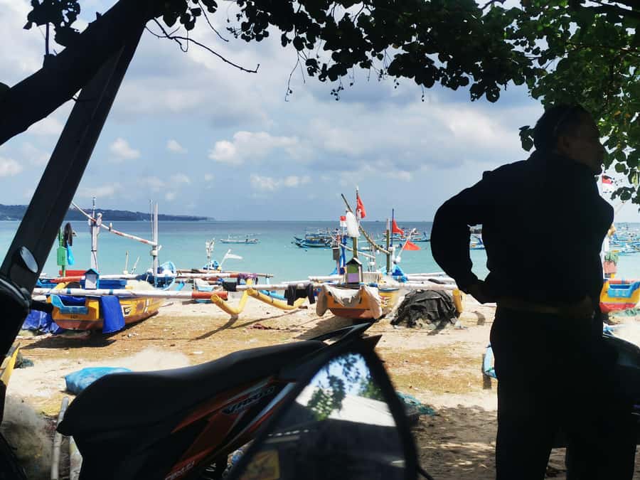 Jimbaran: Exotic Culinary Fish and Seafood Tour - Price and value: $18 for the guide, plus your seafood and prep