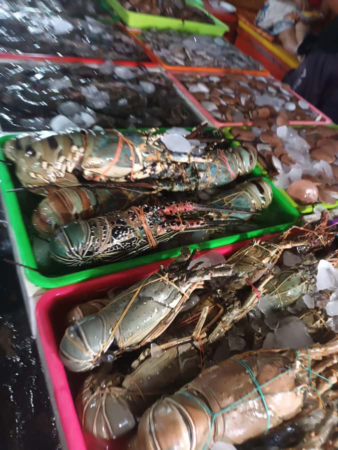 Jimbaran: Exotic Culinary Fish and Seafood Tour - Small practical tips for a smooth market-and-lunch day