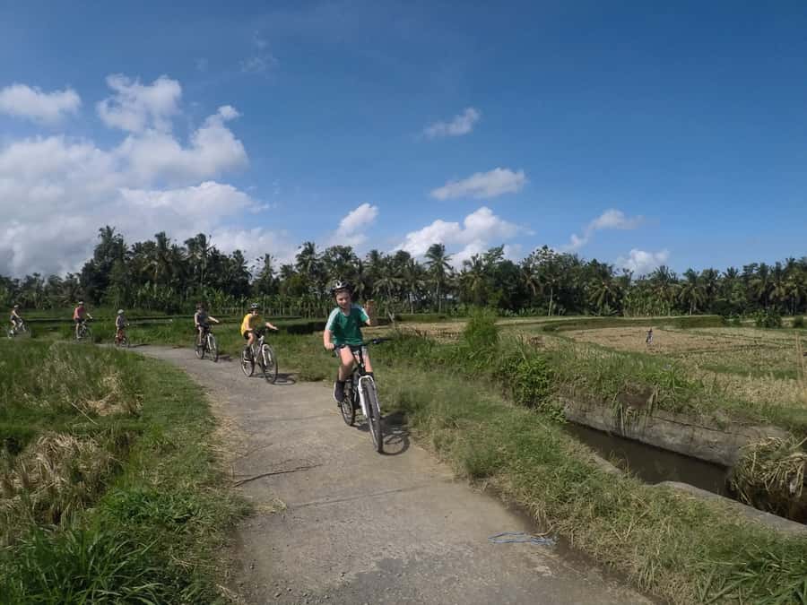 Kuta: Kintamani Culture and Nature Guided Cycling Tour - The 22 km Ride: Gentle Downhill, Village Life, and Real Footing