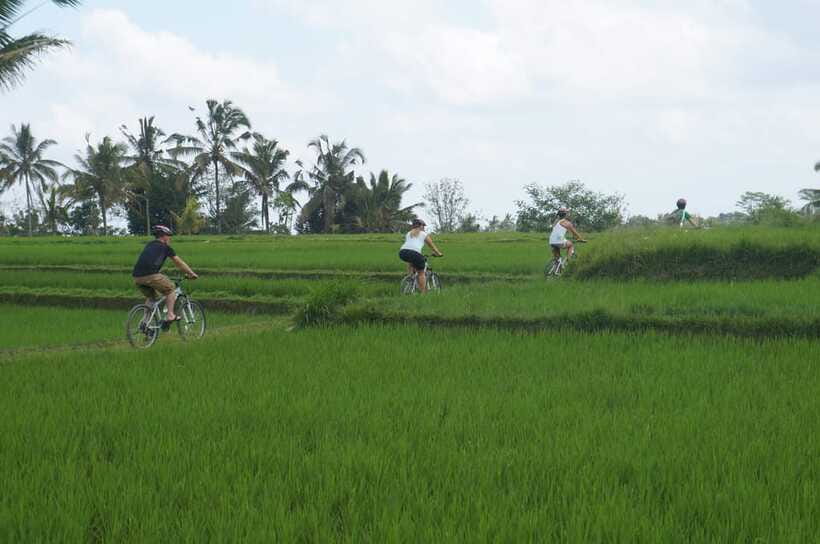 Kuta: Kintamani Culture and Nature Guided Cycling Tour - Stop 1: A Balinese House Compound You Can See and Understand