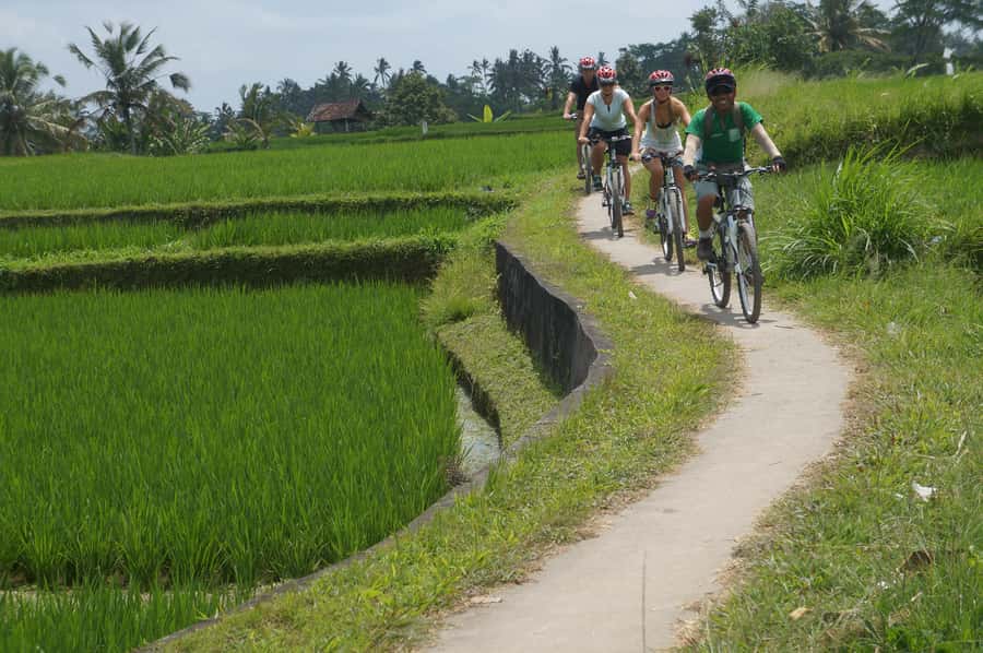 Kuta: Kintamani Culture and Nature Guided Cycling Tour - Taro Village and the Gunung Raung Temple Photo Stop