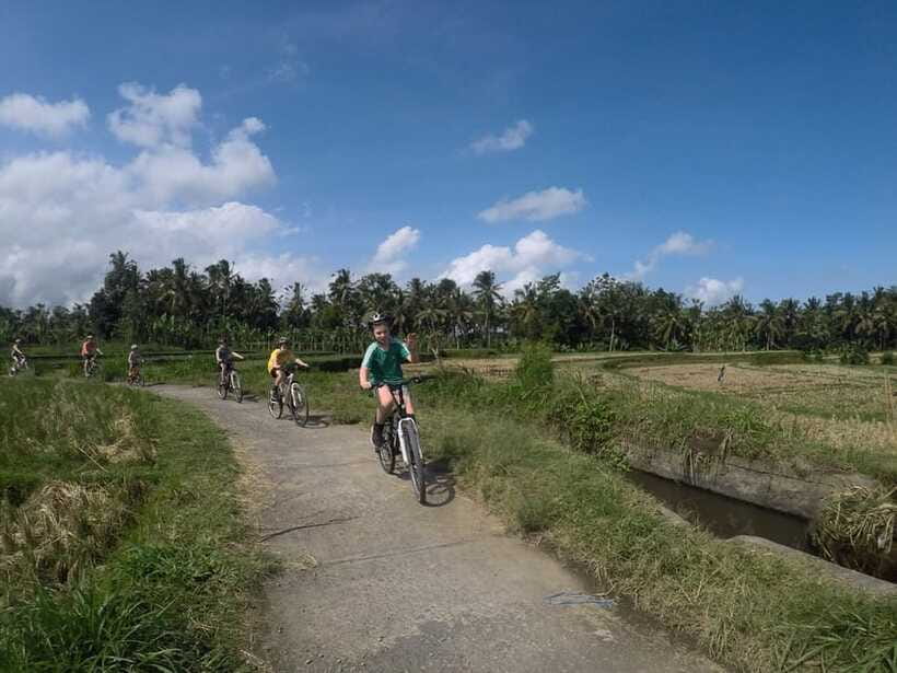 Kuta: Kintamani Culture and Nature Guided Cycling Tour - Bresela Rice Field Views: Where the Scenery Hits