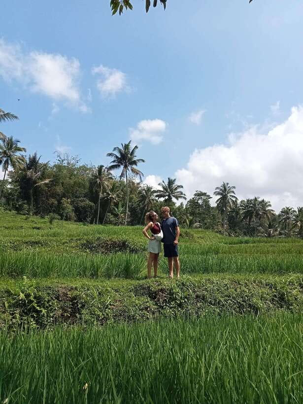 Lombok : Privat Tour Benang Kelambu Waterfall, Rice Terrace. - Morning Pickup and the Aik Berik Rice Terrace Walk