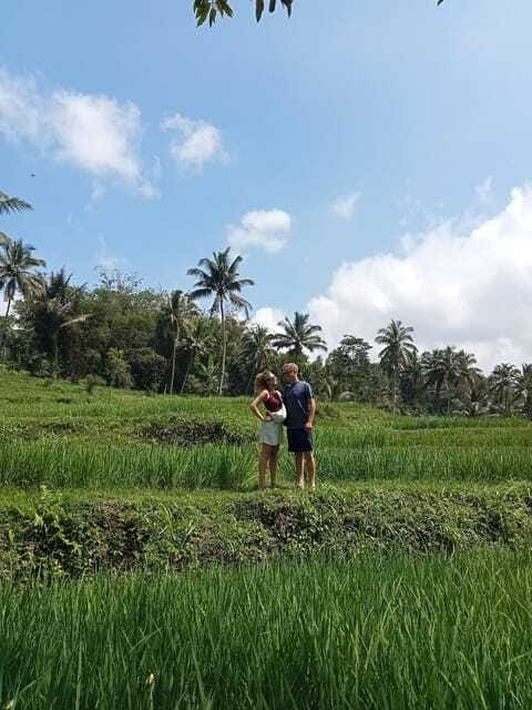Lombok : Privat Tour Benang Kelambu Waterfall, Rice Terrace. - Who This Tour Fits Best