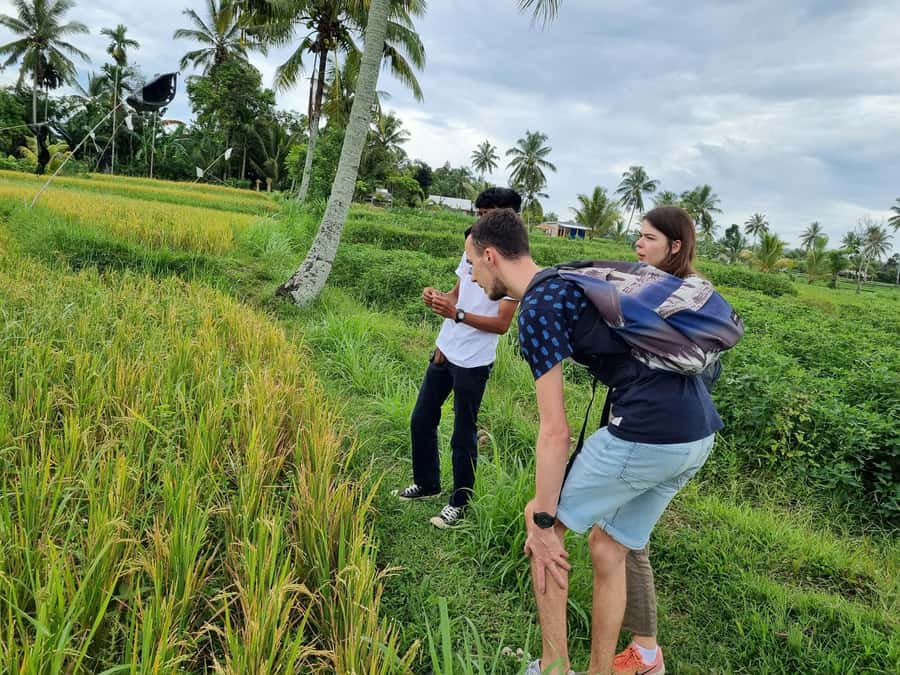 Lombok: Private Customizable Tour with Driver-Guide - Key highlights you’ll feel in the day