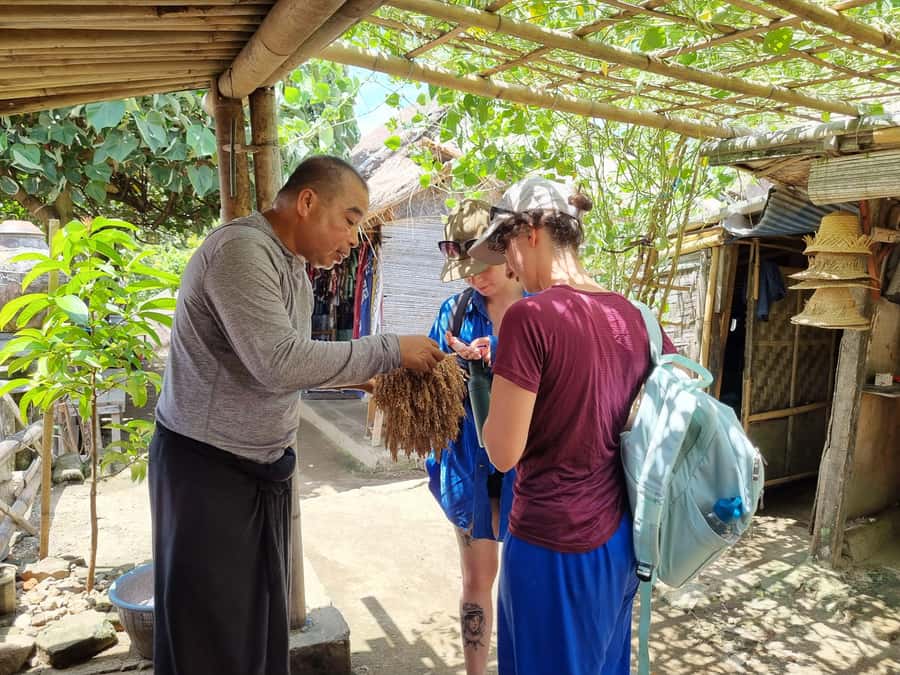 Lombok: Private Customizable Tour with Driver-Guide - Building your Lombok day around beaches, jungle birds, and markets