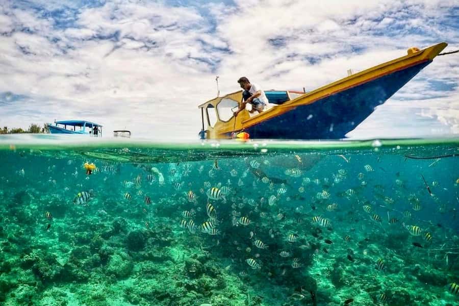 Lombok: Private Snorkeling,Gili Trawangan,Gili Meno,Gili Air - Key highlights I’d plan around