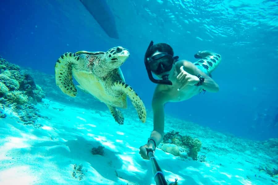 Lombok: Private Snorkeling,Gili Trawangan,Gili Meno,Gili Air - Why the private glass-bottom boat changes the whole day