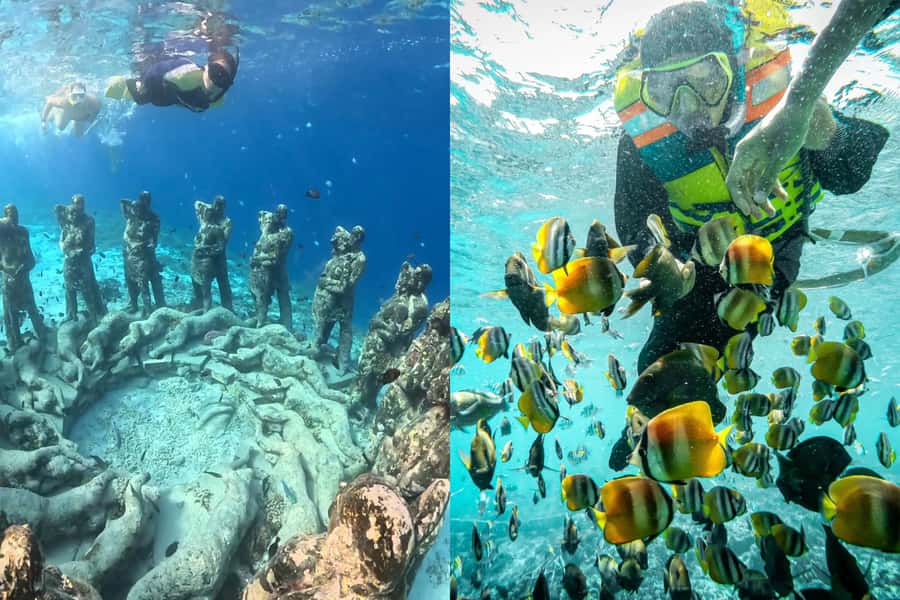 Lombok: Private Snorkeling,Gili Trawangan,Gili Meno,Gili Air - Gili Air: Fish Garden snorkeling at your own pace (with a guide)