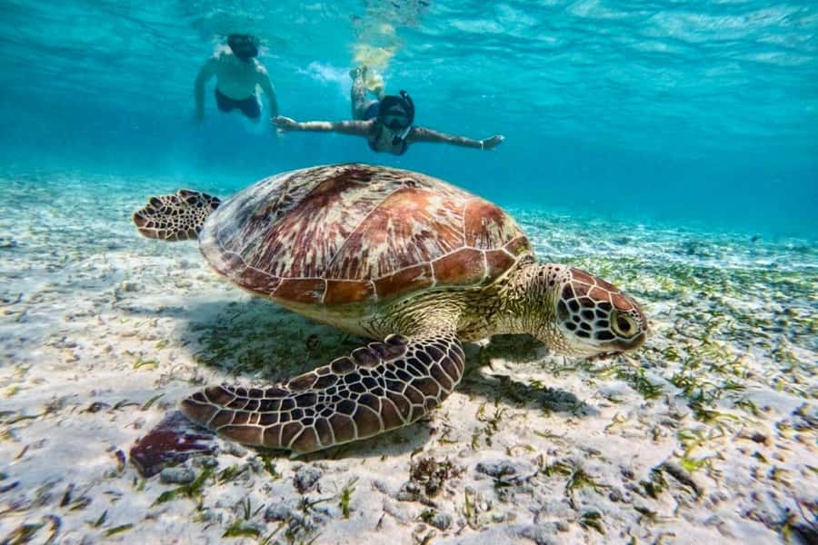 Lombok: Private Snorkeling,Gili Trawangan,Gili Meno,Gili Air - What to bring (and what to plan around)