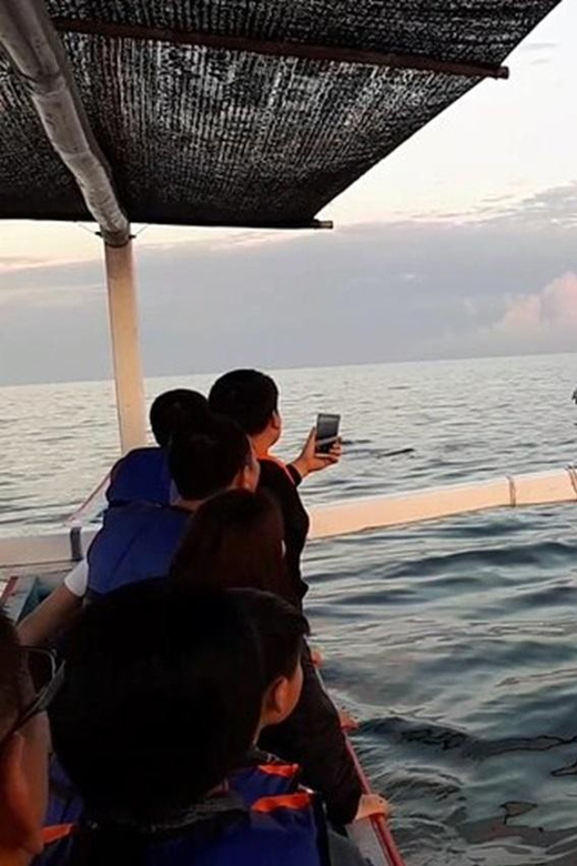 Lovina Dolphin Watching + Swimming with dolphin Private tour - Key Highlights You’ll Actually Feel on This Tour