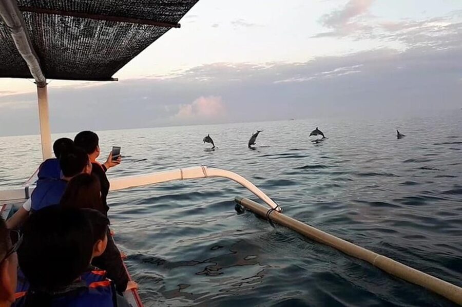 Lovina Dolphin Watching + Swimming with dolphin Private tour - Lovina Sunrise: Why the Timing Matters