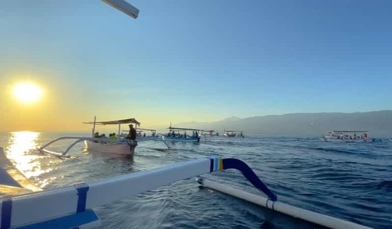 Lovina Dolphin Watching + Swimming with dolphin Private tour - Spotting Wild Dolphins: What the Morning Hunt Looks Like