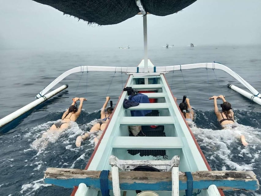 Lovina Dolphin Watching + Swimming with dolphin Private tour - Swimming With Wild Dolphins: Holding the Wood and Staying Grounded