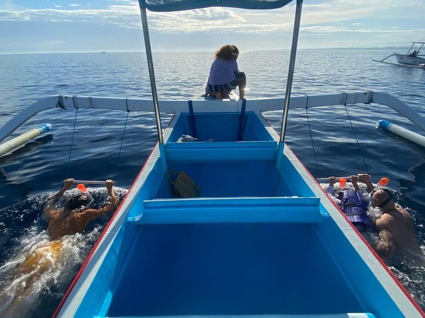 Lovina Dolphin Watching + Swimming with dolphin Private tour - Price and Value: Is $26 Per Person Worth It?