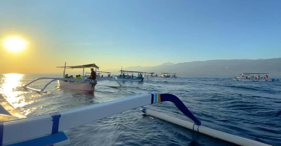 Lovina Dolphin Watching + Swimming with dolphin Private tour - Group Size, Pickup, and the Private-Group Feel