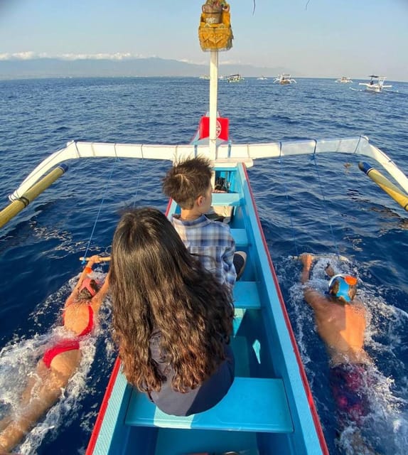 Lovina Dolphin Watching + Swimming with dolphin Private tour - From Lovina Beach to Open Water: Boat, Captain, and Comfort
