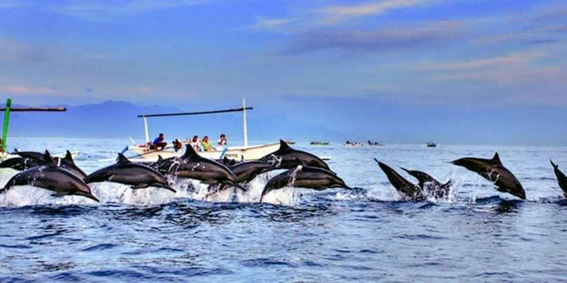 Lovina: Watching Dolphin, Swimming Dolphin Bali Tour - The 2-Hour Lovina Beach Stop: Use It Well