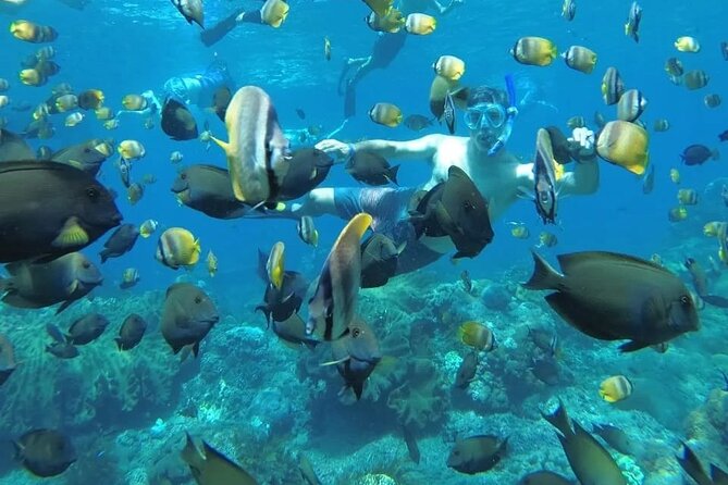 Manta Bay Snorkeling Adventure with Kelingking Beach Nusa Penida All Inclusive - Quick hits before you go