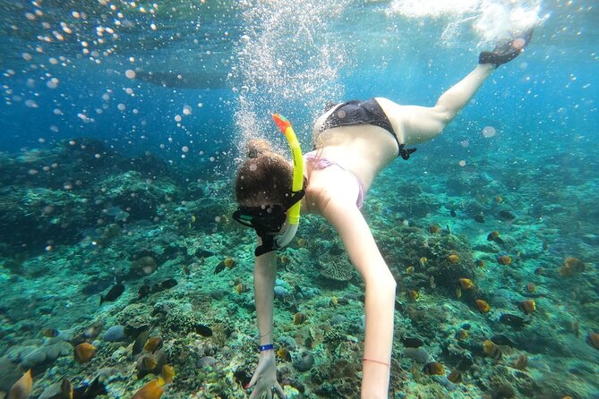Manta Bay Snorkeling Adventure with Kelingking Beach Nusa Penida All Inclusive - From Jimbaran to Nusa Penida: the 6:30 a.m. start that pays off