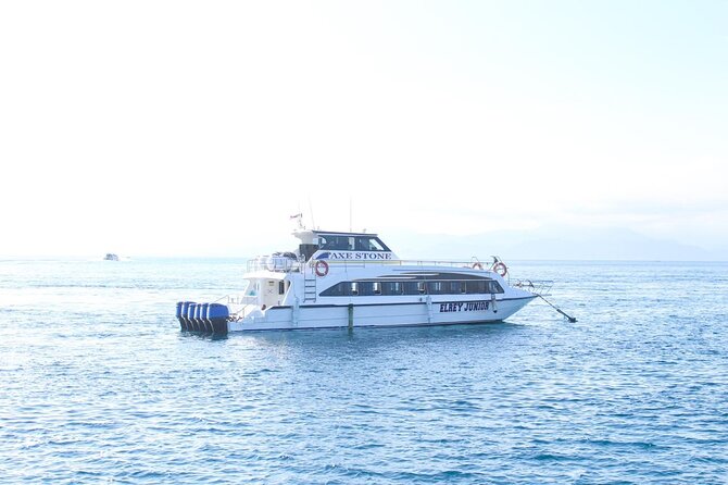 Manta Bay Snorkeling Adventure with Kelingking Beach Nusa Penida All Inclusive - Kelingking Beach: the viewpoint stop you plan your whole day around