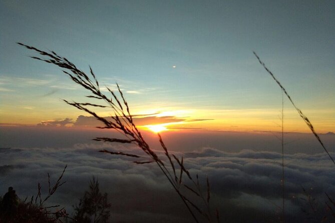 Mount Batur Sunrise Trekking with Private Guide and Breakfast - Coffee Plantation Stop in (or near) Ubud: Luwak Coffee Without the Pressure