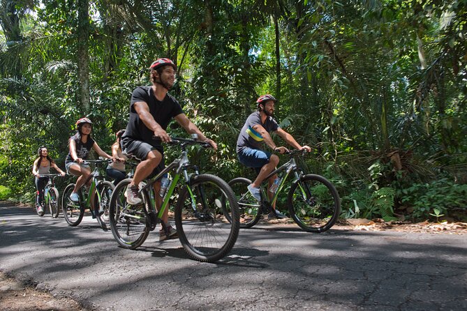 Mountain Cycling Tour - Lunch at the end: included gourmet meal, and what to watch for