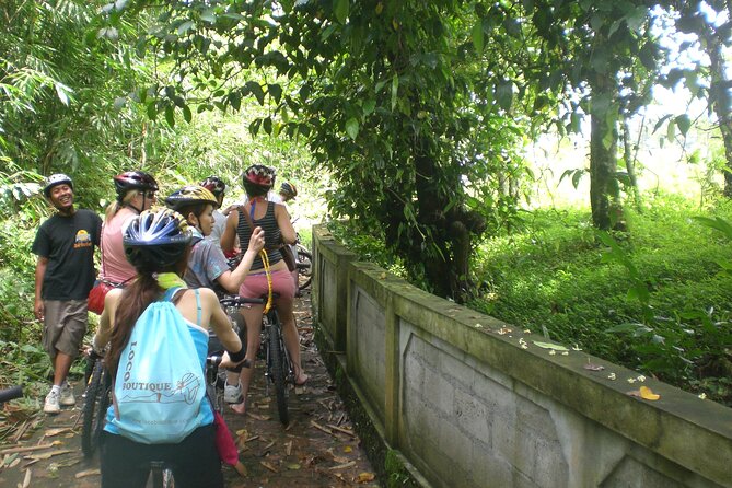 Mountain Cycling Tour - Price and value: why $57 can be a smart deal in Bali