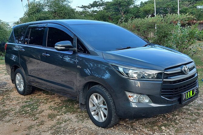 Ngurah Rai International Airport Private Arrival Transfer - Where You Meet Your Driver at Ngurah Rai