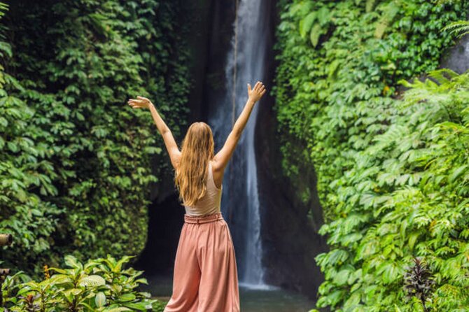North Bali Nature Escape Rice Terraces, Temples & Waterfall - What you’re really paying for (and why it feels like value)