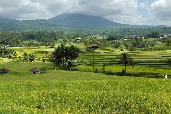 North Bali Nature Escape Rice Terraces, Temples & Waterfall - Stop 4: Banyumala Twin Waterfalls and the best nature break