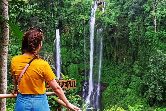 North Bali: Sekumpul Waterfalls and Ulun Danu Temple Tour - Best For Who, and What to Pack for a Smoother Day