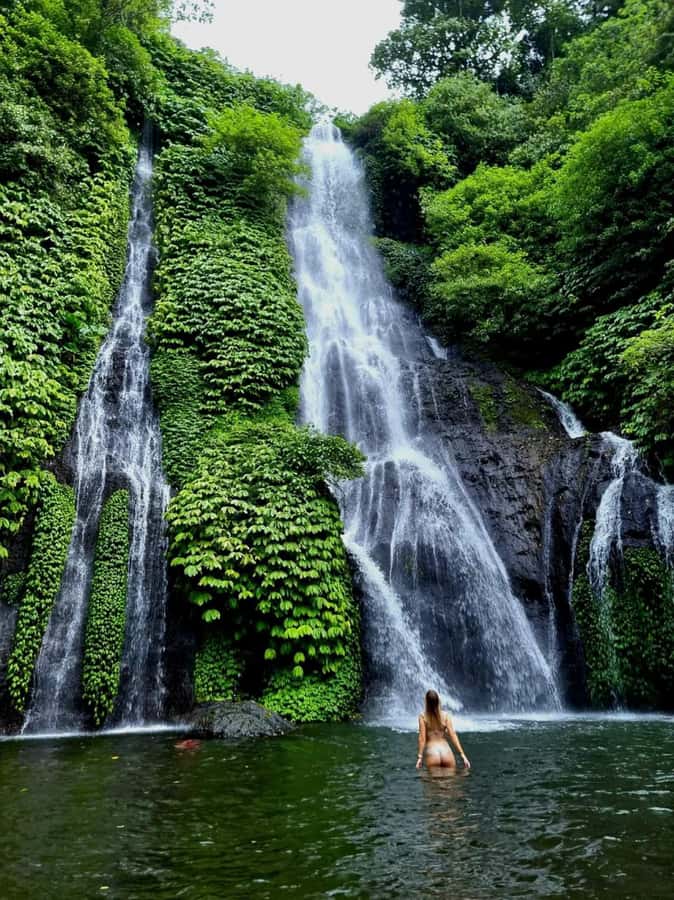North Bali Trip with 2 Hidden Waterfalls Private Tour - Key Things You Should Know Before You Go