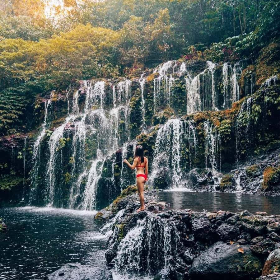 North Bali Trip with 2 Hidden Waterfalls Private Tour - Why North Bali Waterfalls Feel Different