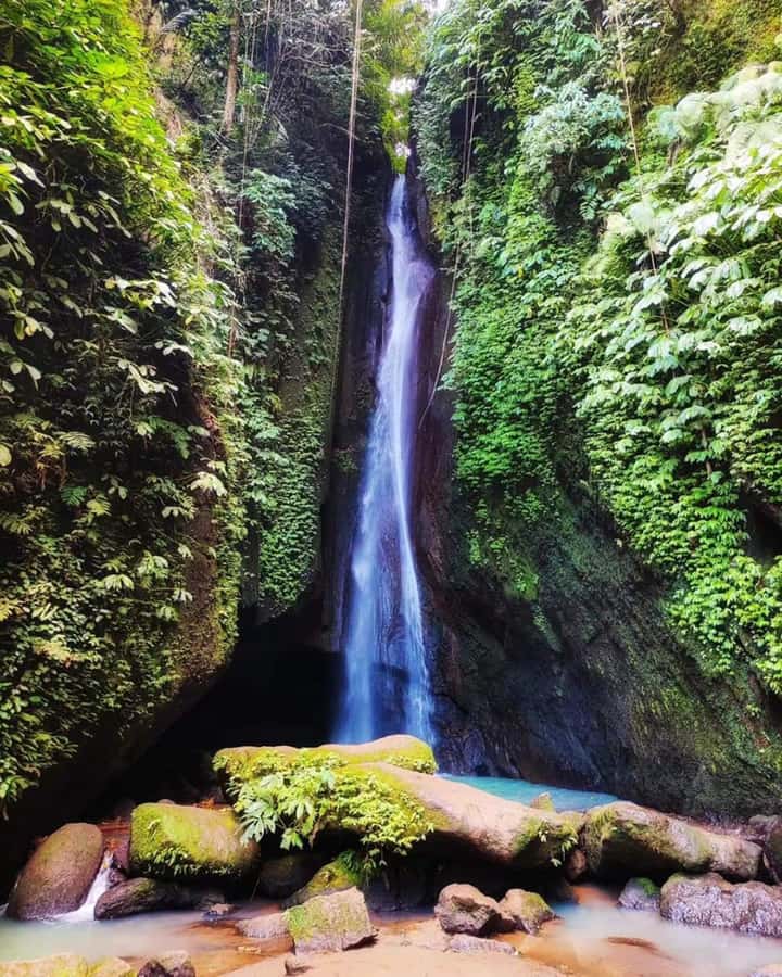 North Bali Trip with 2 Hidden Waterfalls Private Tour - Swim Time, Stair Steps, and What to Bring
