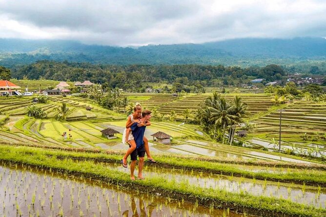 Northern Bali Tour - Private Full Day Tour - All Inclusive - A smart way to see Northern Bali (without the usual headaches)
