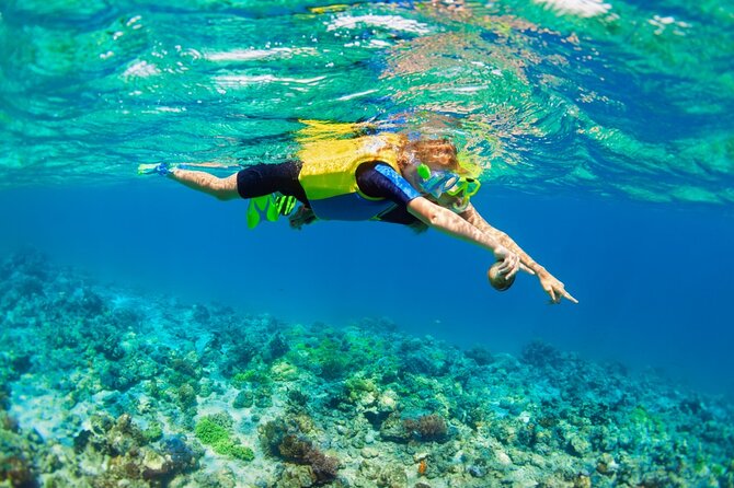 Nusa Lembongan Island: Snorkeling & Mangrove Forest Day Tour - Sanur Speedboat Morning: starting Lembongan without the hassle