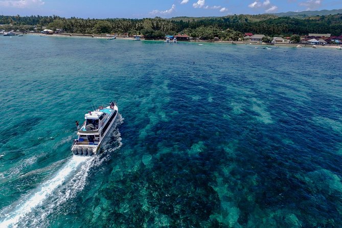 Nusa Lembongan Island: Snorkeling & Mangrove Forest Day Tour - Rooftop lunch with ocean view: the break you’ll appreciate