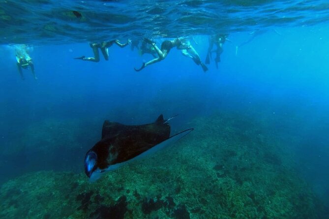 Nusa Penida 4 Spot Snorkeling with Manta and Island Tour - Key things worth noting before you go