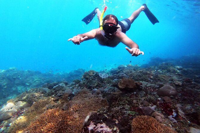 Nusa Penida 4 Spot Snorkeling with Manta and Island Tour - Getting to Sanur: where the day starts (and where time goes)
