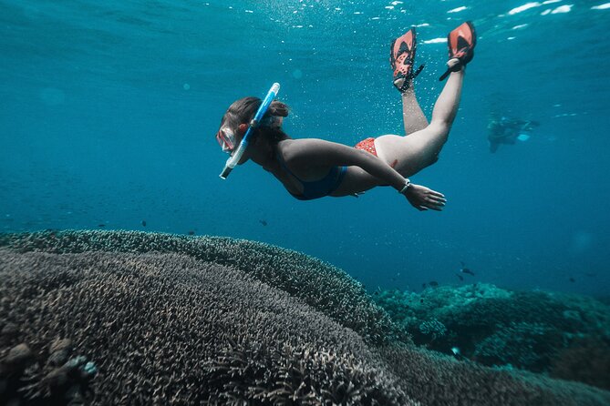 Nusa Penida day trip: boat, 4 snorkeling, Manta rays & Land tour - Fast Boat, Early Start: How the Day Runs From Sanur