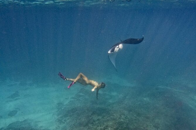 Nusa Penida day trip: boat, 4 snorkeling, Manta rays & Land tour - Kelingking Beach by Car: The Best Iconic Cliff Stop Without the Hassle