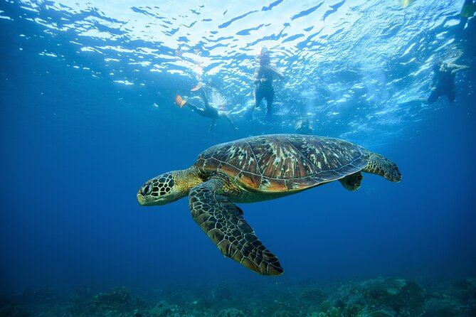 Nusa Penida day trip: boat, 4 snorkeling, Manta rays & Land tour - Lunch on Nusa Penida With Infinity Pool Views