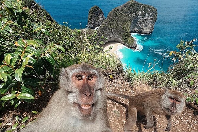 Nusa Penida day trip: boat, 4 snorkeling, Manta rays & Land tour - Price and Logistics: Is $78 Good Value for Nusa Penida?