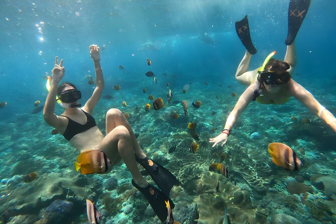 Nusa Penida Island Beach Tours with Snorkeling From Bali - Price and Logistics: what the $137.75 is really paying for